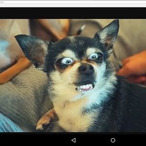 Meet your Posher, An cermet